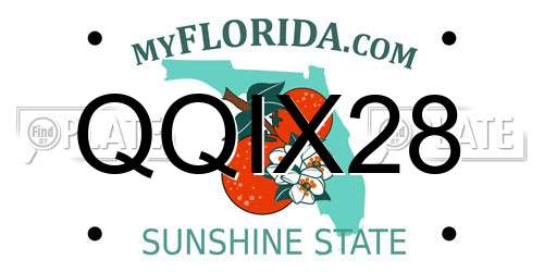 QQIX28 Florida License Plate