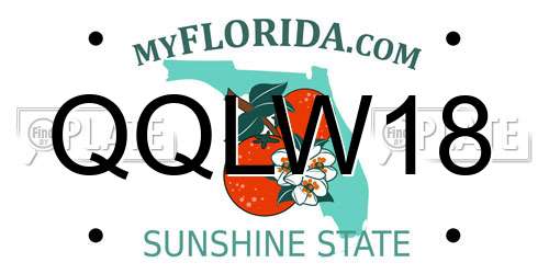 QQLW18 Florida License Plate