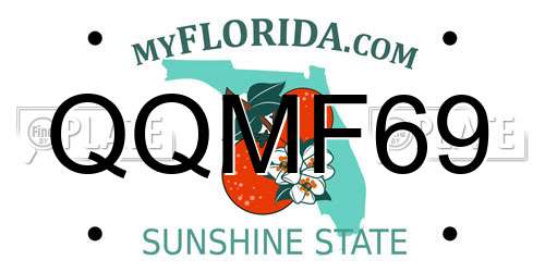 QQMF69 Florida License Plate