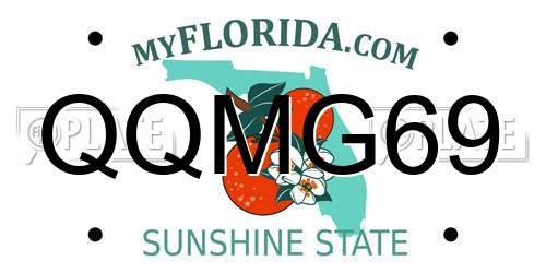 QQMG69 Florida License Plate