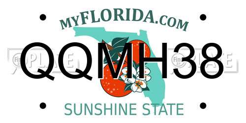 QQMH38 Florida License Plate