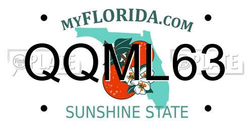 QQML63 Florida License Plate