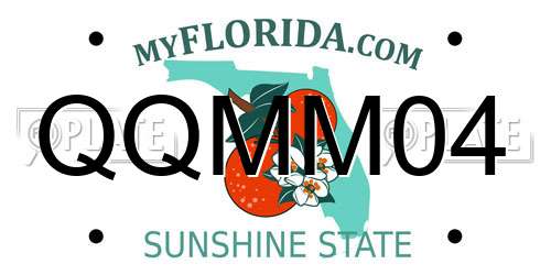 QQMM04 Florida License Plate