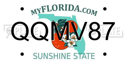QQMV87 Florida License Plate