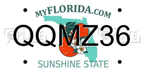 QQMZ36 Florida License Plate
