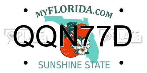 QQN77D Florida License Plate
