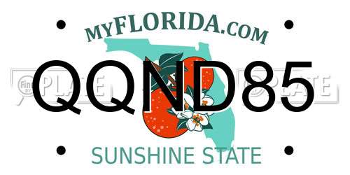 QQND85 Florida License Plate