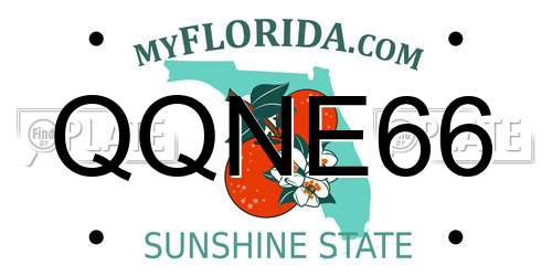 QQNE66 Florida License Plate