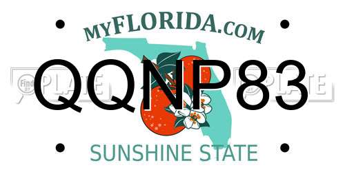 QQNP83 Florida License Plate