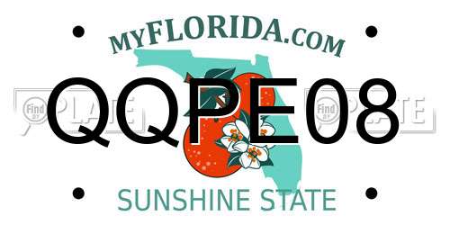 QQPE08 Florida License Plate