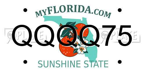QQQQ75 Florida License Plate