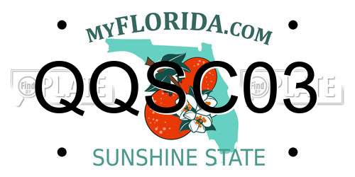 QQSC03 Florida License Plate