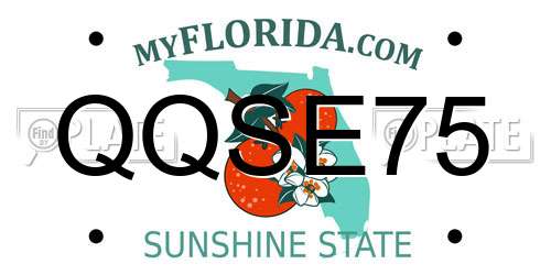 QQSE75 Florida License Plate
