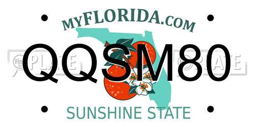 QQSM80 Florida License Plate