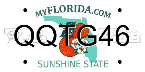 QQTG46 Florida License Plate