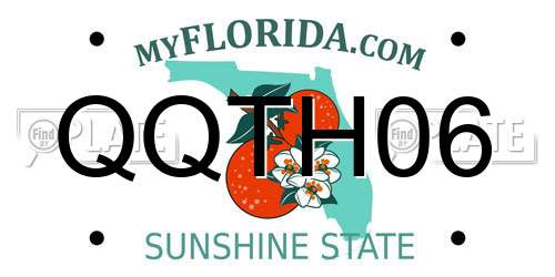 QQTH06 Florida License Plate