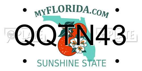 QQTN43 Florida License Plate
