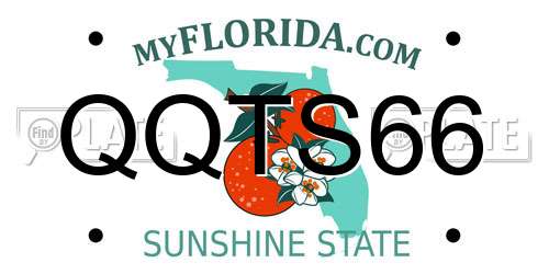 QQTS66 Florida License Plate