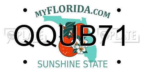 QQUB71 Florida License Plate