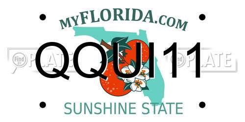 QQUI11 Florida License Plate