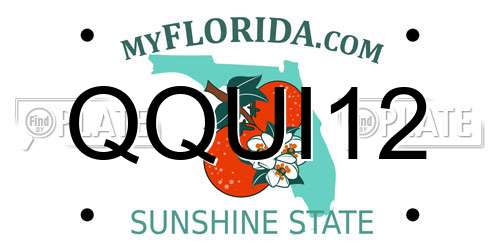 QQUI12 Florida License Plate