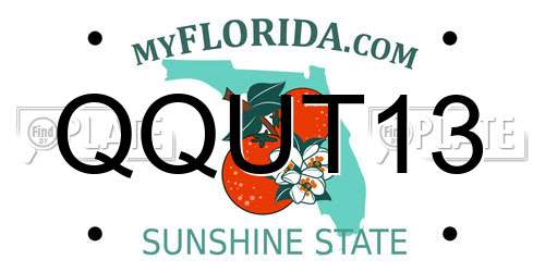 QQUT13 Florida License Plate