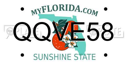 QQVE58 Florida License Plate