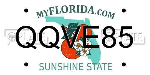 QQVE85 Florida License Plate