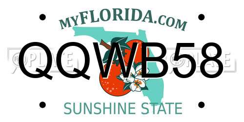 QQWB58 Florida License Plate