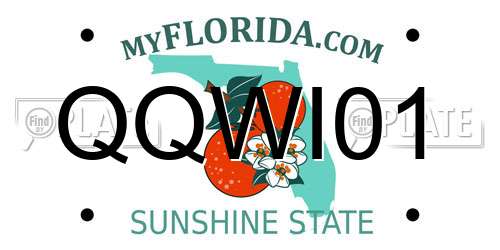 QQWI01 Florida License Plate