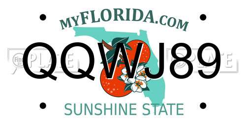 QQWJ89 Florida License Plate