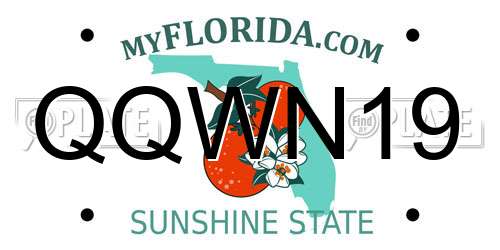 QQWN19 Florida License Plate