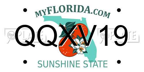 QQXV19 Florida License Plate