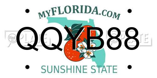 QQYB88 Florida License Plate