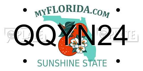QQYN24 Florida License Plate