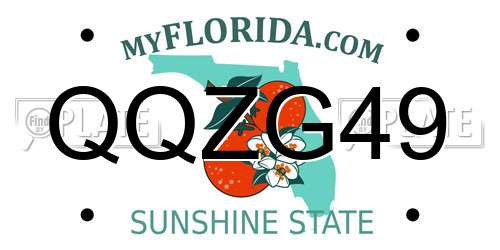 QQZG49 Florida License Plate
