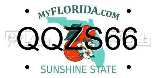 QQZS66 Florida License Plate