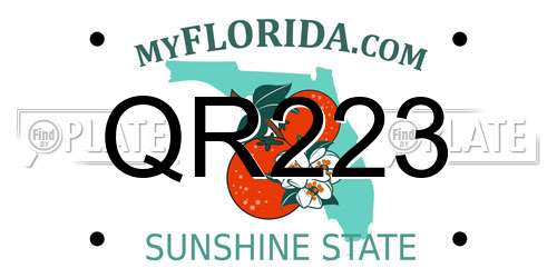 QR223 Florida License Plate