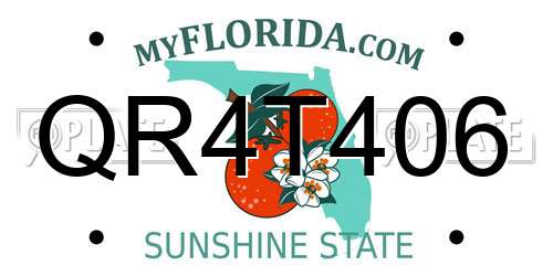 QR4T406 Florida License Plate