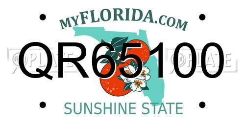 QR65100 Florida License Plate