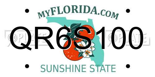 QR6S100 Florida License Plate