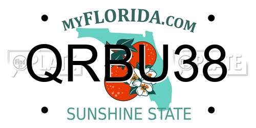 QRBU38 Florida License Plate