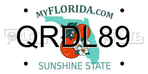 QRDL89 Florida License Plate