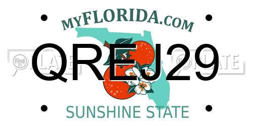 QREJ29 Florida License Plate