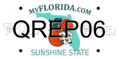 QREP06 Florida License Plate