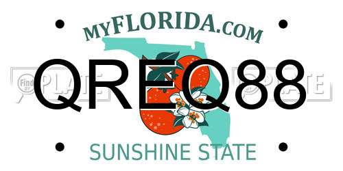 QREQ88 Florida License Plate
