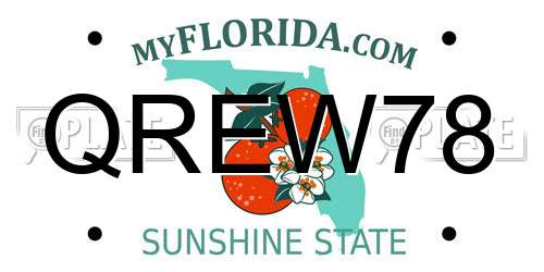 QREW78 Florida License Plate