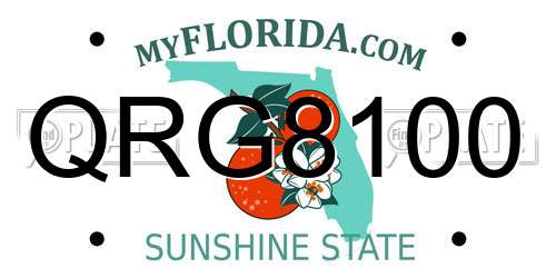 QRG8100 Florida License Plate