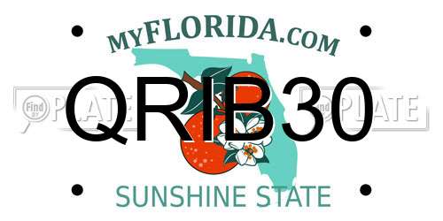 QRIB30 Florida License Plate