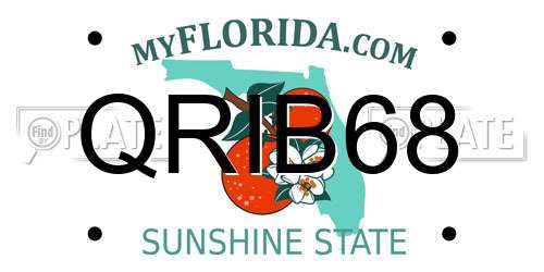QRIB68 Florida License Plate
